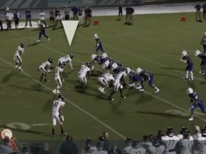 DE/LB favors Canes
