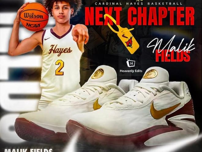 Youth Movement Impacts New Look Cardinal Hayes