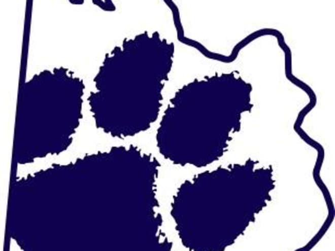 4A Preview: Anson Bearcats