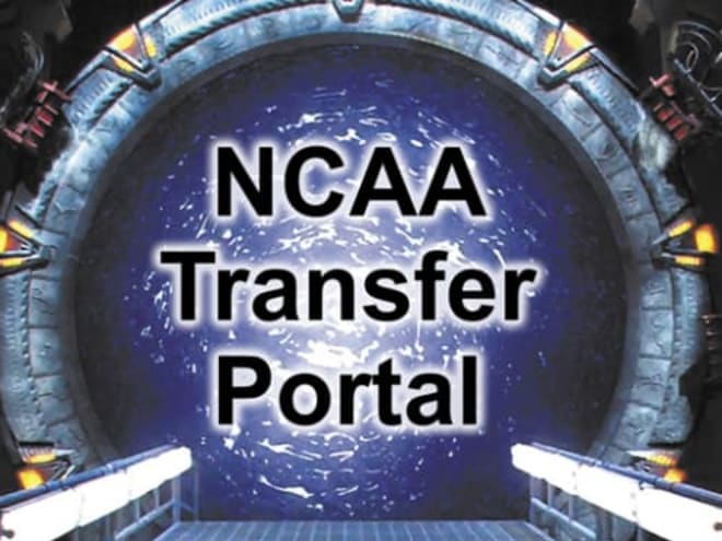 More New Yorkers in the Portal
