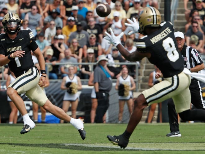 Snap counts and PFF grades from Purdue's win over Indiana State