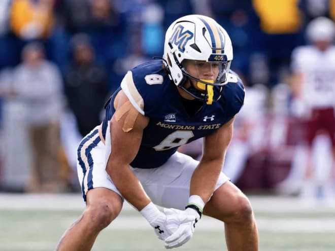 Razorbacks sign Montana State transfer tight end