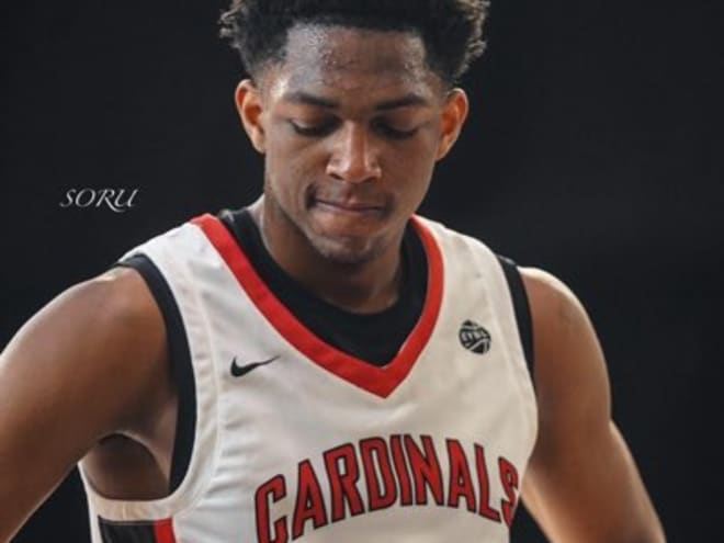 D-I Offers in abundance for NY's PSA Cardinals