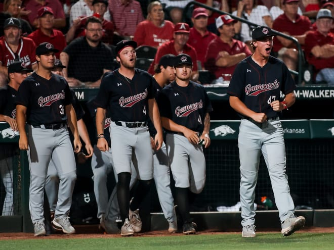 South Carolina Baseball Adds Fall Scrimmage Against Air Force