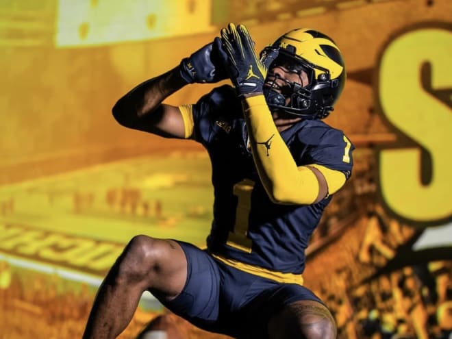 Ranking Michigan football's winter Transfer Portal additions