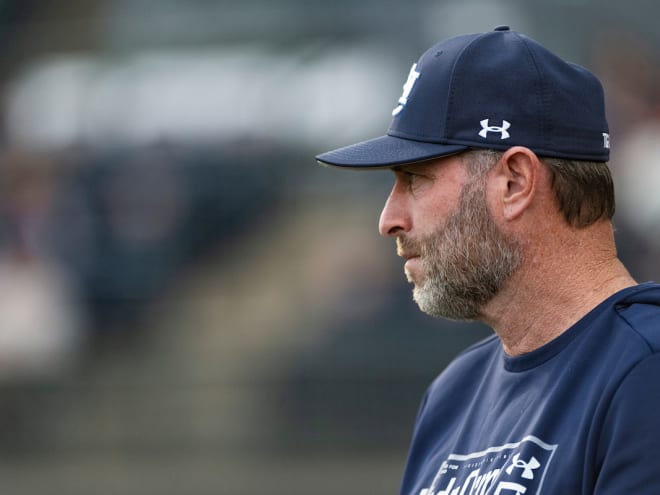 Scouting the Chanticleers