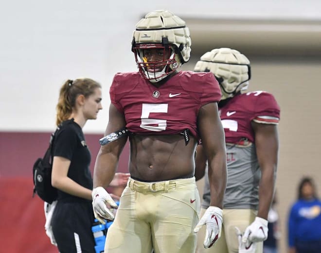 FSU defensive end transfer Jared Verse is getting comfortable during his first spring with the Seminoles.