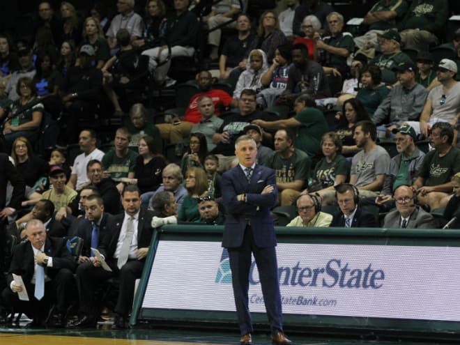 USF Bulls Head Coach Brian Gregory looks on during the game against Temple in Yuengling Center.