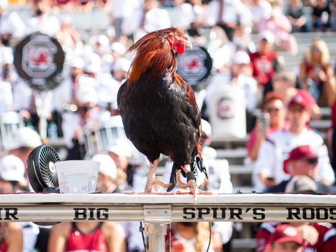 Gamecocks in the NFL: Preseason Week 3 guide - On3