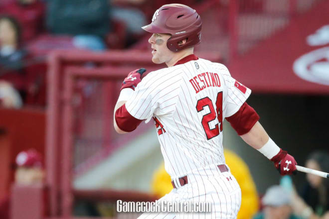 Alex Destno had 3 hits Friday night for the Gamecocks 