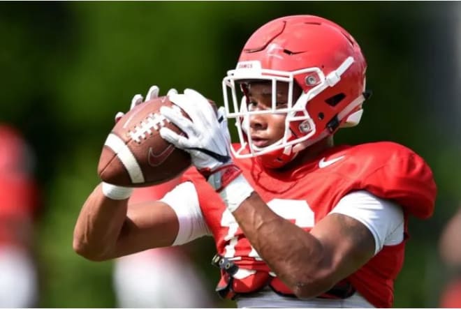 Demetris Robertson expects having a year in Georgia's system will pay off this fall.