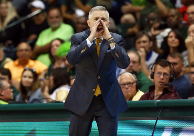 USF Bulls head coach Brian Gregory reacts against the Memphis Tigers during the second half at Yuengling Center.