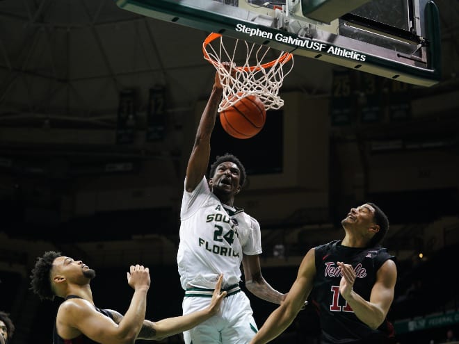 South Florida, USF, Bulls