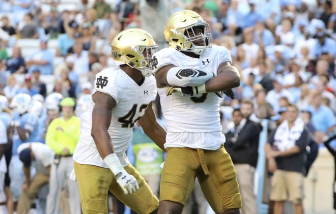 Getting big games from the Irish ends - including Julian Okwara (left) and Daelin Hayes (right) - is a key for victory for Notre Dame.