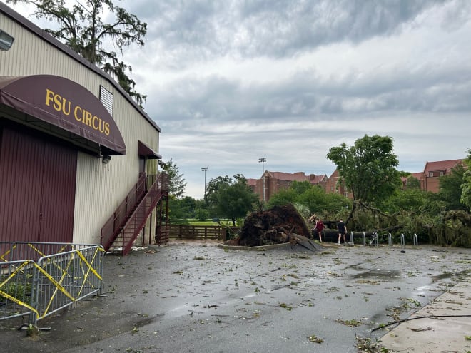 A large tree came down next to FSU's circus.