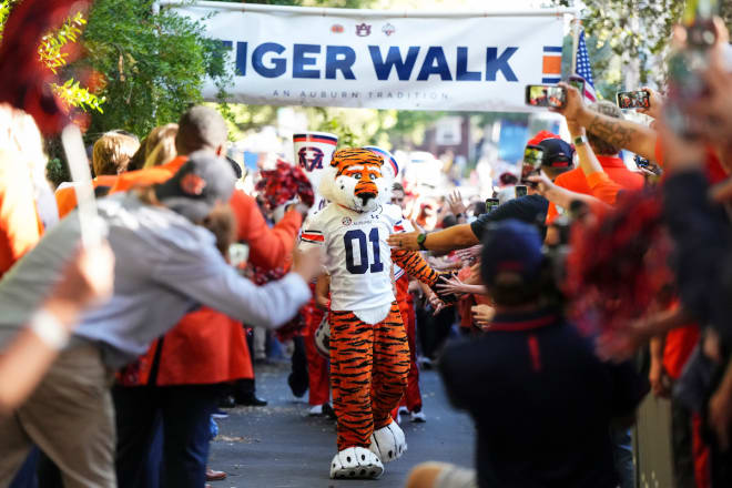 College football in all its glory will be back in full force this fall.