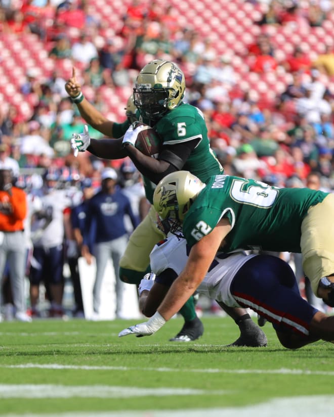 South Florida, USF, Bulls