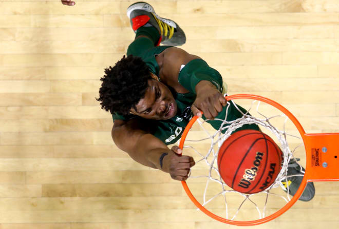 USF Bulls Basketball South Florida