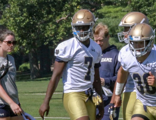 Sophomore safety Derrik Allen will transfer out of Notre Dame.