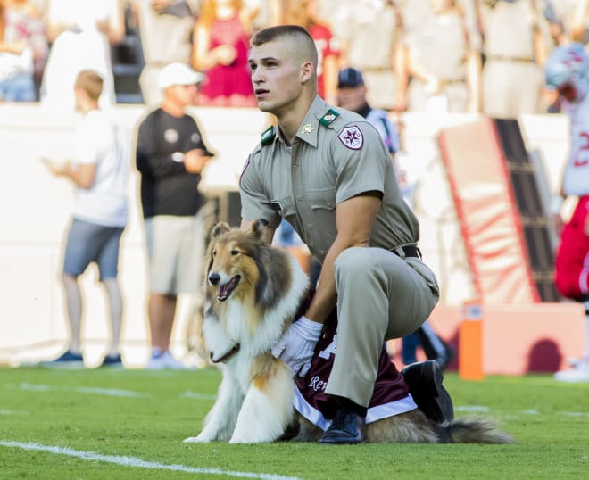 Not even Lassie can save this Texas A&M team. 