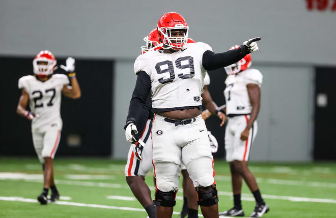 Jordan Davis is expected to be the point man on Georgia's defensive line.