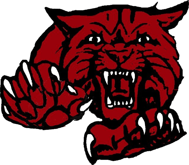 Rock Hill football scores and schedule