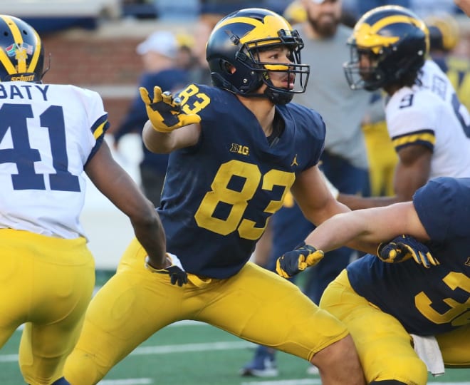 Michigan Wolverines sophomore tight end Erick All will play a bigger role in 2020.