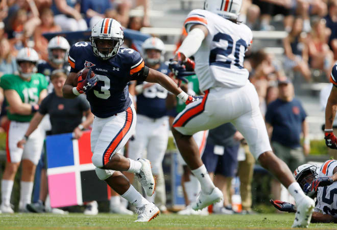 D.J. Williams carries during Auburn's 2019 spring game.