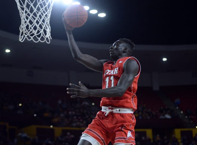 Both Gach is now immediately eligible for the Gophers (Photo: Joe Camporeale-USA TODAY Sports)