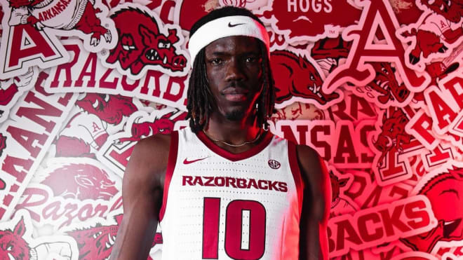 Arkansas Razorbacks basketball forward Baye Fall enters the transfer portal