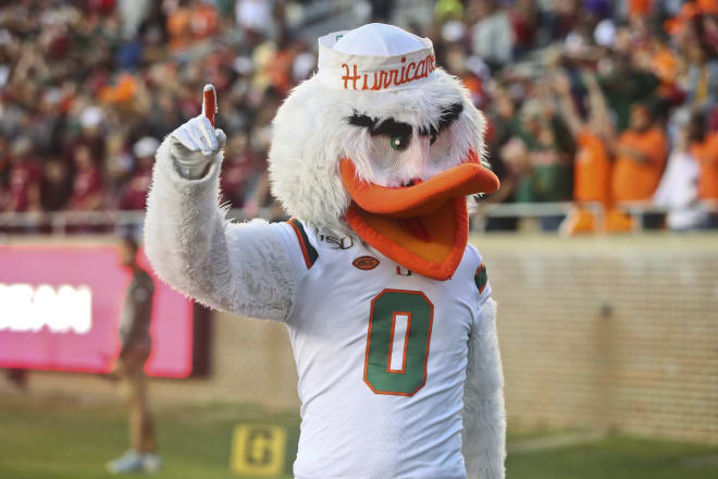 Miami mascot Sebastian the Ibis