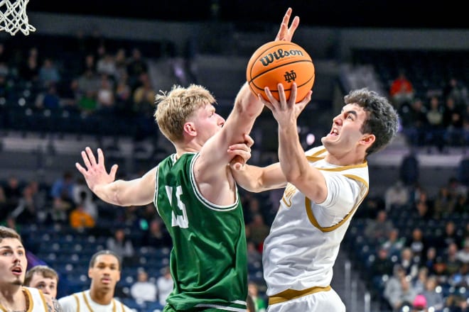 Notre Dame MBB scores season high 91 points in win over Le Moyne InsideNDSports Notre Dame Fighting Irish Football Basketball Recruiting