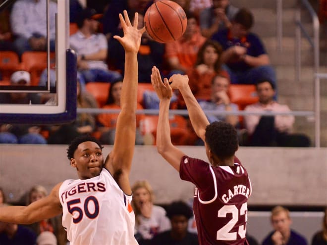 Austin Wiley provides his fair share of shot-blocking, but Auburn's other post defenders haven't added much on the defensive end this season.