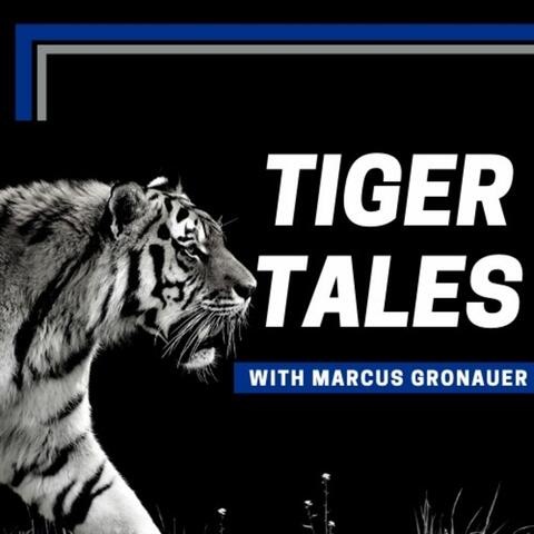 Memphis Tigers TigerSportsReport
