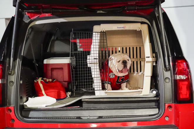 The real reason this game is leaving Jacksonville is this good boy shouldn't have to be caged for a long drive. Either give him a private jet or move the game to UGA's house. 