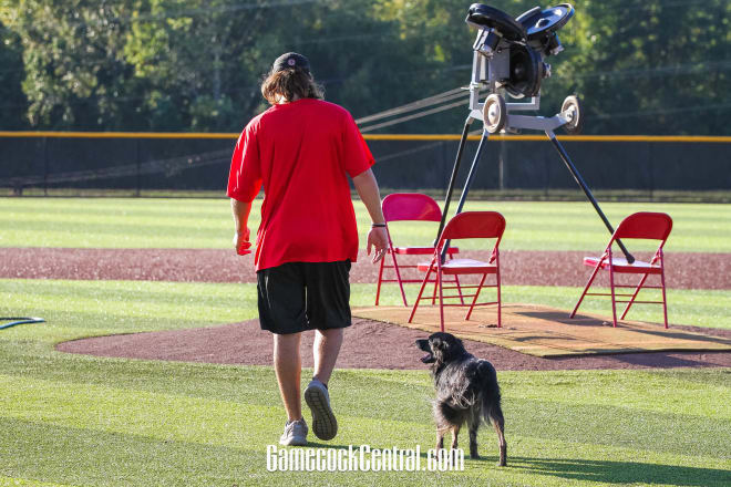 Gamecocks baseball: Matt Williams hired at North Greenville