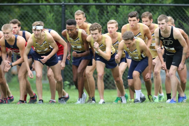 Notre Dame Fighting Irish men’s cross country