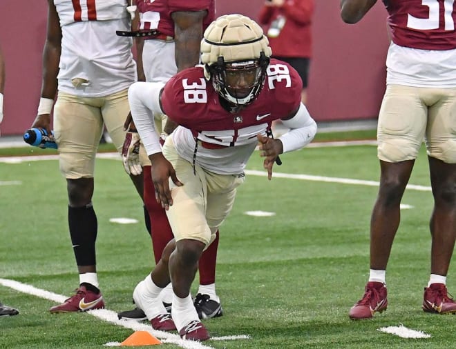 FSU redshirt freshman safety Shyheim Brown