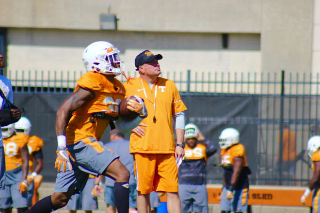 Butch watches punts