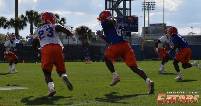 Florida's defensive backs and wide receivers battle during a drill