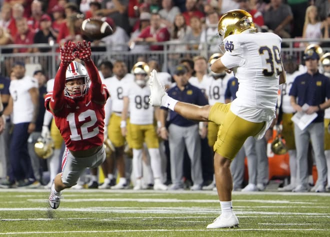 Punter Jon Sot appeared in his first game with Notre Dame on Saturday.