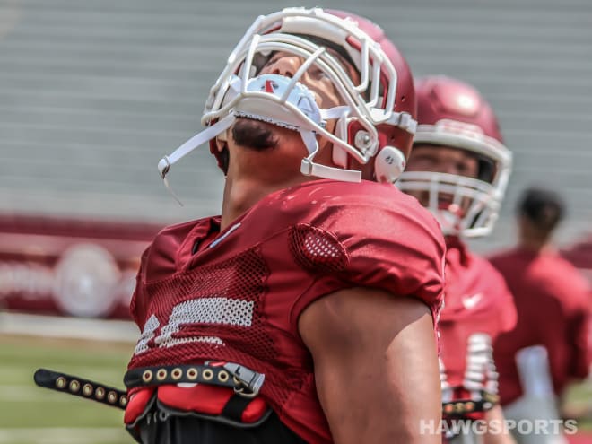 Cheyenne O'Grady and Razorback tight ends will have their chance to make a mark in 2018