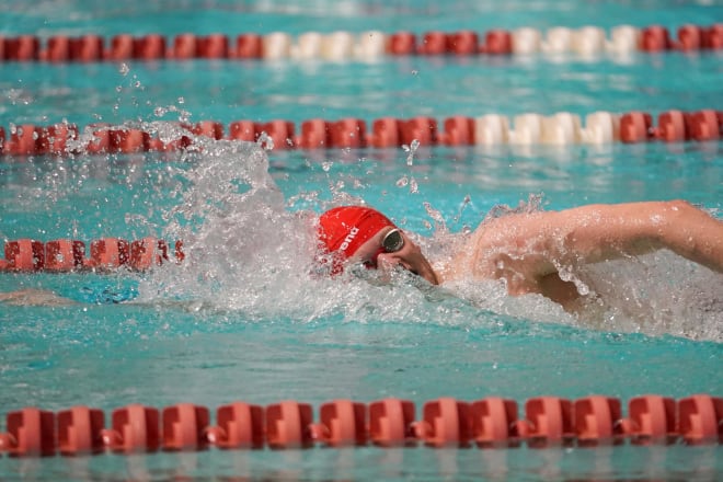 TheWolfpackCentral - NC State Wolfpack men's swimming hopes to continue ...