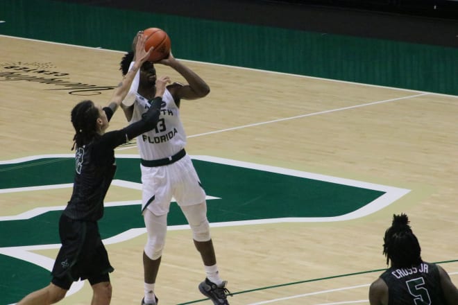 South Florida, USF. Bulls