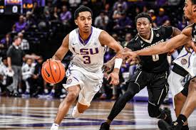 LSU sophomore guard Tremont Waters has declared for the NBA Draft.