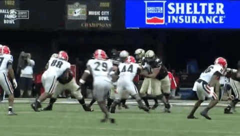 Georgia Bulldogs GIF by University of Georgia - Find & Share on GIPHY