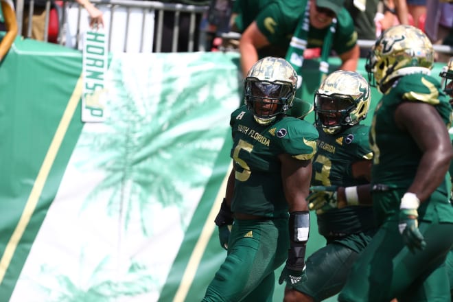 South Florida, USF, Bulls