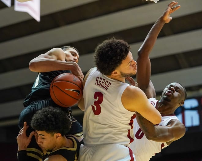 Reese makes basket grab, tumbles into stands 