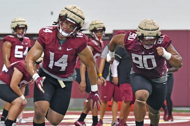 Alabama A&M transfer Marcus Cushnie (No. 14) made a strong impression in Sunday's FSU football scrimmage.