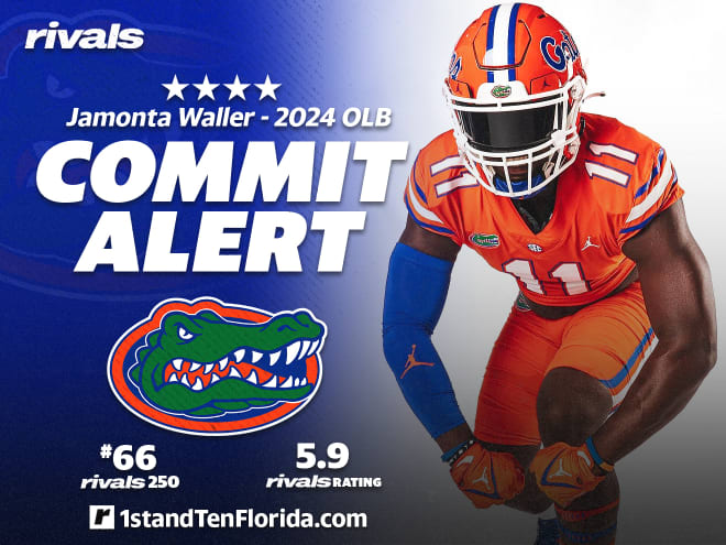 Uf football store news